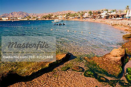 Gulf of Aqaba, Dahab Sinai, Egypt