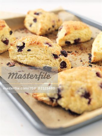 Blueberry Lemon Scones on Unbleached Parchment Paper