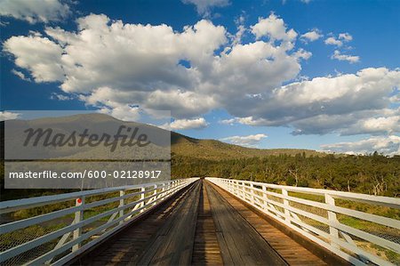 Mackillop Bridge, Snowy River National Park, Victoria, Australia