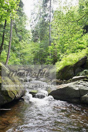 Heinrich Heine Wanderweg, Ilse River, Harz Mountains, Nationalpark Harz, Sachsen-Anhalt, Deutschland