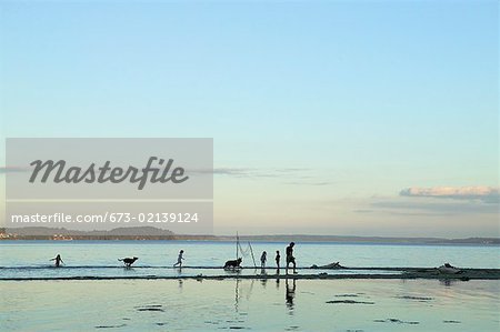 People at the shore at sunset