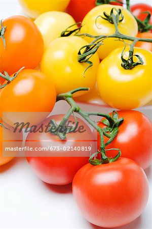 Tomates multicolores sur la vigne