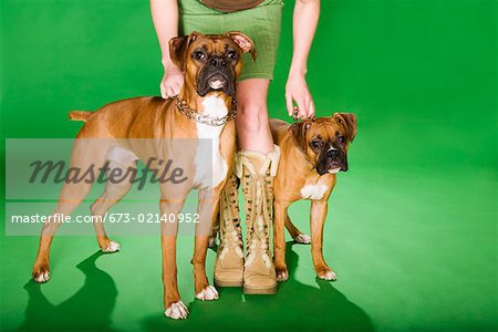 Low section of woman with two dogs