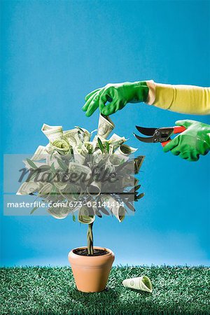 Woman clipping money off tree
