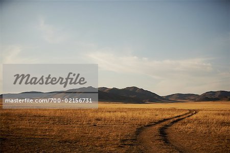 Tire Tracks leading Towards Mountains, Khustain Nuruu National Park, Mongolia