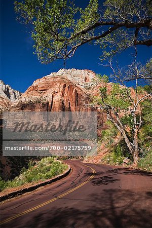 Road in Zion National Park, Utah, USA