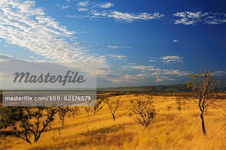 Landschaft in der Nähe von Wyndham, Kimberley, Western Australia, Australien
