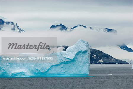 Iceberg in a bay