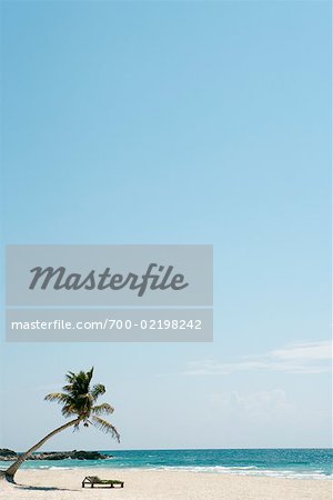 Liegestuhl und Palme am Strand, Tulum, Mexiko