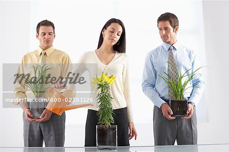Gens d'affaires et les plantes