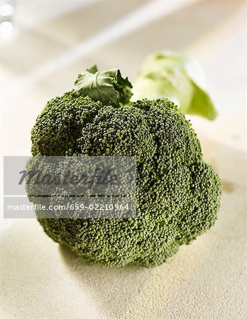 Broccoli Broccoli