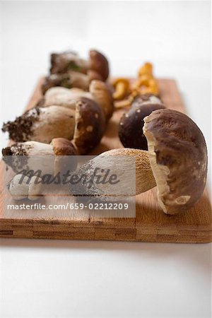 Fresh ceps and chanterelles on chopping board