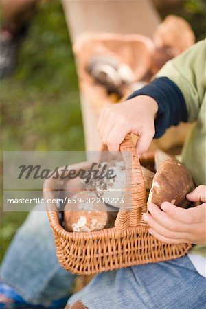 Petit garçon tenant un panier rempli de cèpes dans un bois