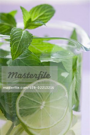 Mojito mit Kalk und frischer Minze