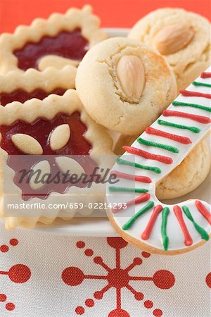 Assorted Christmas biscuits on plate (detail)