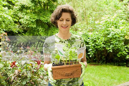 Woman holding pumpkin seedlings in garden