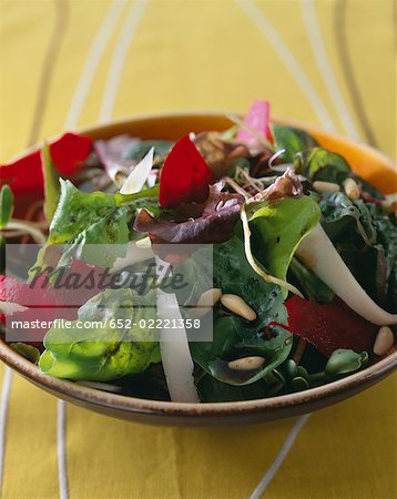 Beetroot,young sprouts and pine nut salad