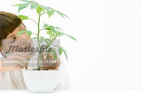 Woman pruning potted silk floss tree