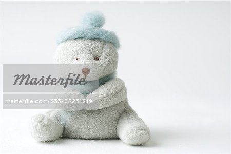 Teddy bear wearing hat, missing one eye