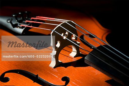 Close-Up of Violin