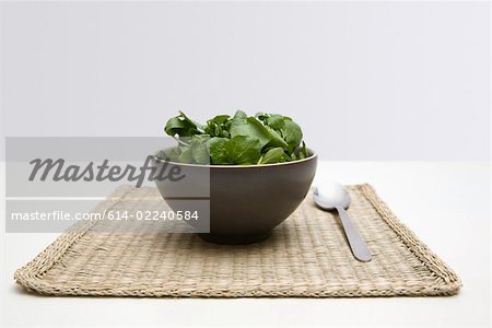 Épinards et le cresson dans un bol