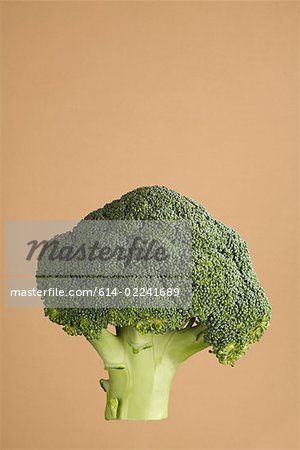 Brocoli