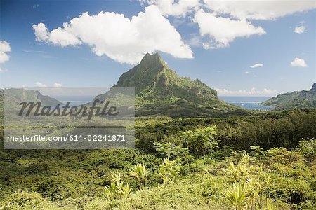 Moorea society islands