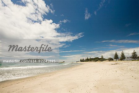 A beach on north island