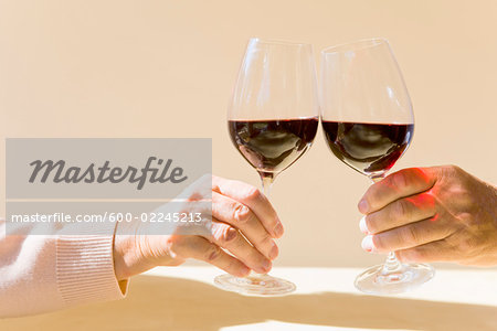 Couple Toasting with Wine Couple Toasting with Wine