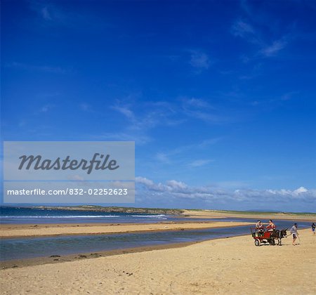 Donkey cart on the beach, Dugort, Achill Island, Mayo, Connacht, Republic Of Ireland
