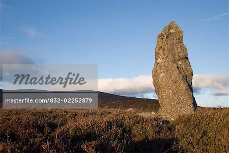 Standing Stone, Farbreaga, Co Waterford, Irland