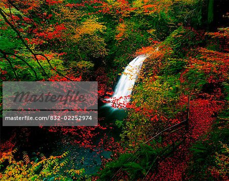 Glenoe Waterfall and Glen, Co Antrim, Ireland