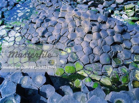 Co Antrim, The Giants Causeway, Close-up of the Basalt Columns