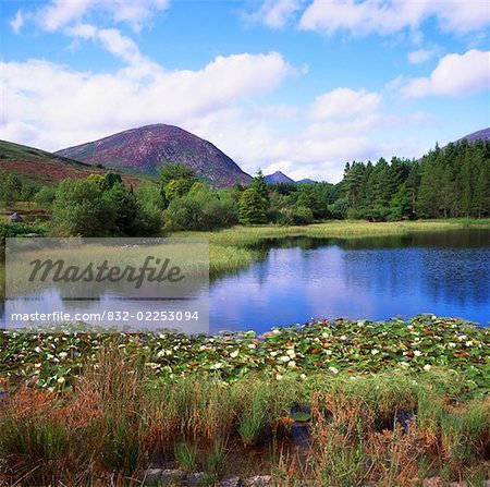 Silent Valley Reservoir, Co Down, Ireland