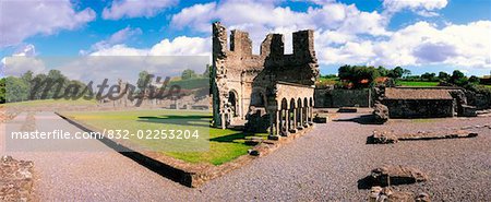 Mellifont Abbey, County Louth, Ireland