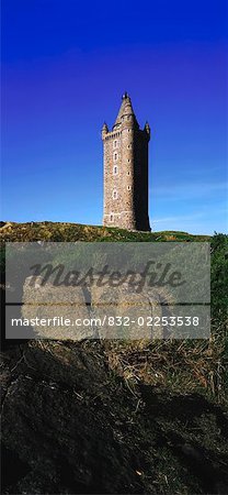 Scrabo Tower, Newtownards, Co. Down, Irland, Denkmal für Charles Stewart