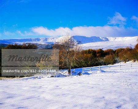 Glencree, Wicklow Mountains, Ireland