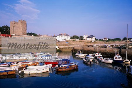 Co Dublin, Bullock Hafen und Burg