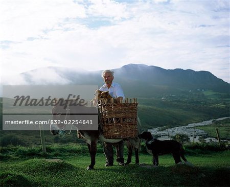 Bauer mit Esel und Hunde, Glenbeigh, Ring of Kerry, Irland
