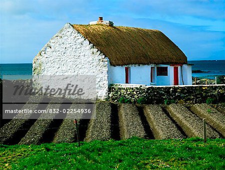 Traditionelles Häuschen, Ballyconneely, Co. Galway, Irland