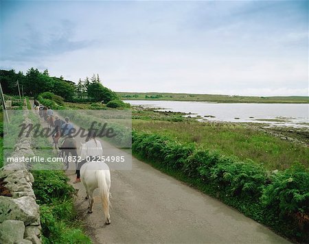 Pony Trekking, Connemara, Ireland