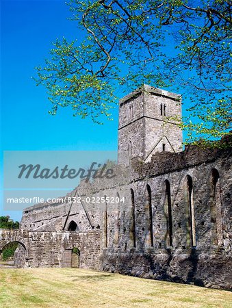 Dominican Friary, Sligo, Co Sligo Ireland, founded in the mid-13th century by Maurice FitzGerald