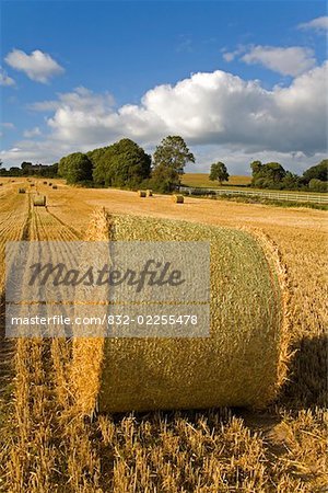 Ardmore, County Waterford, Ireland; Bales of hay in field