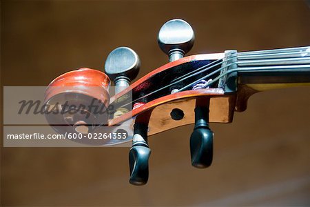 Close-up of Violin