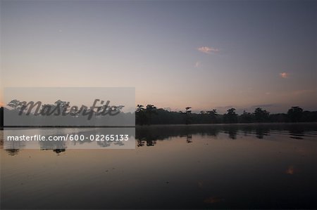 Martin lac au crépuscule, Lafayette, Louisiane, Etats-Unis