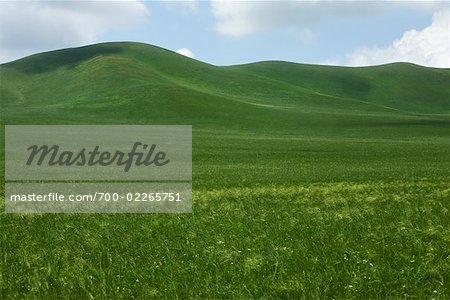 Grasslands Near Xiwuzhumuqinqi, Inner Mongolia, China