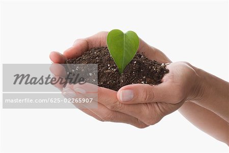 Leaf and compost on a person's hands