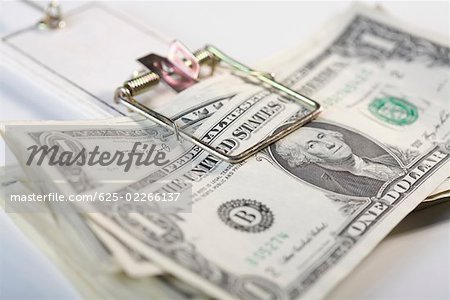 Billets d'un dollar US dans un piège à souris