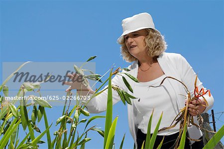 Low Angle View of a senior Woman Gartenarbeit