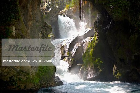 Waterfall in a forest, Puente De Dios, San Luis Potosi, Mexico